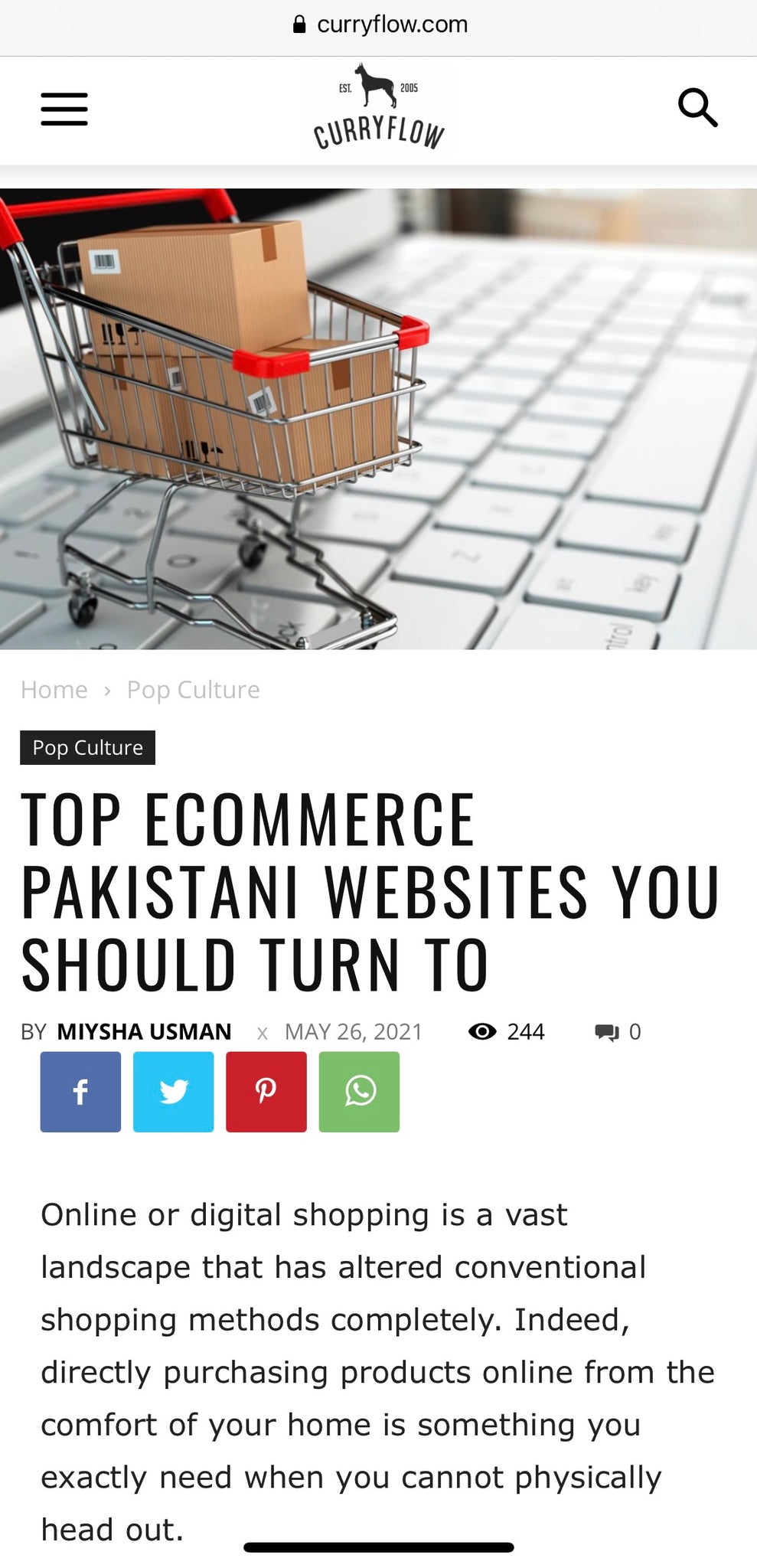 Press - Curryflow : Top Ecommerce Pakistani Websites You Should Turn To