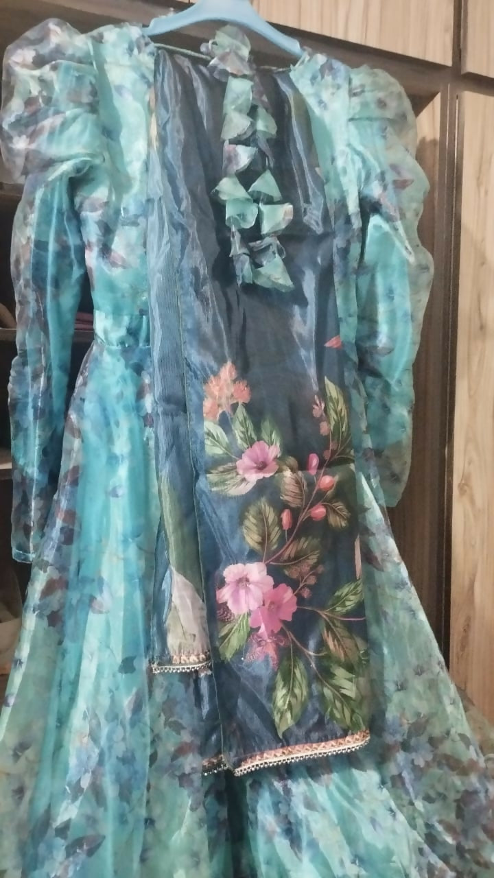 Girl's Organza Zink Colour Frock | Floral Long Frock with Frill | Women Frocks & Maxis | Small | Worn Once