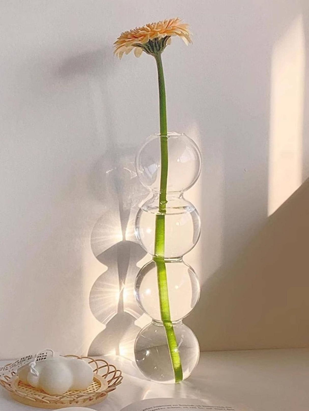 Buy SHEIN Clear Flower Vase in Pakistan
