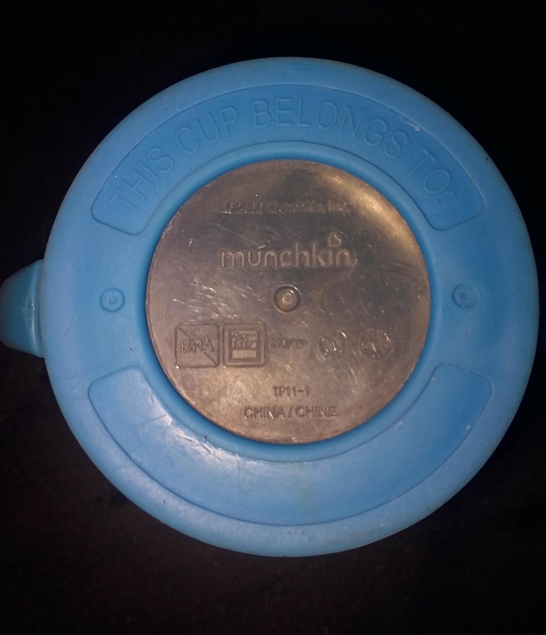 inbound8113682862713270253