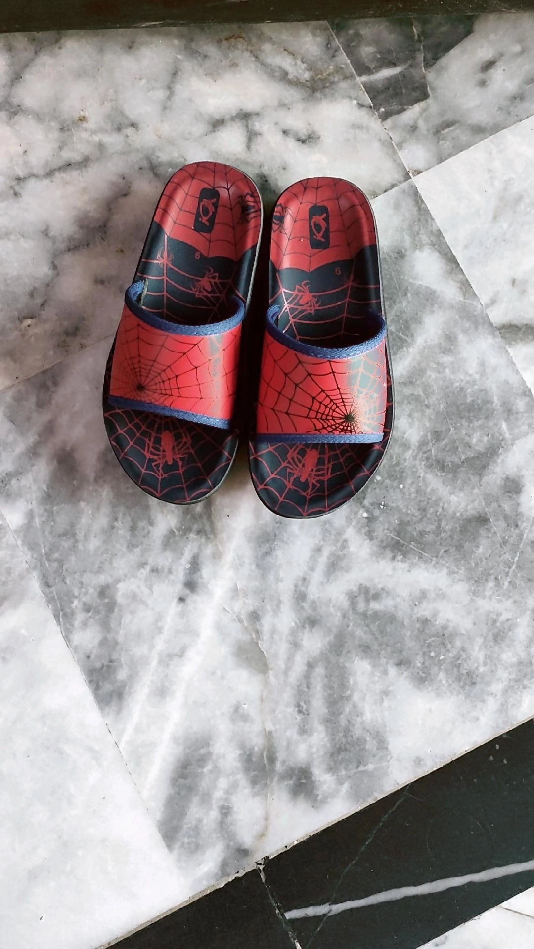 IMG_20250206_171417_766