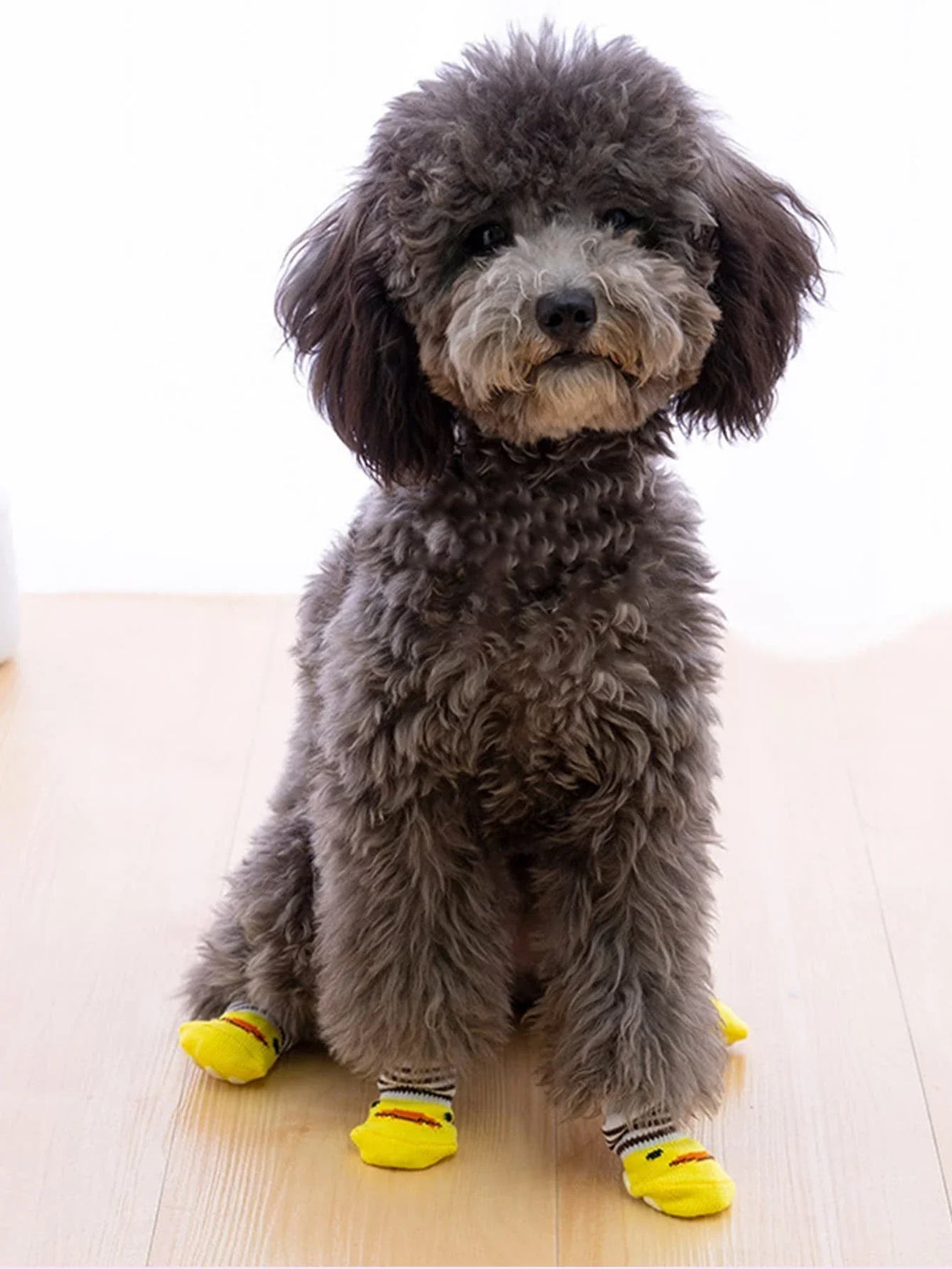 Buy SHEIN 4pcs/Pack Pet Anti-Slip Shoes Socks, Note: The Socks Size Is Slightly Smaller in Pakistan