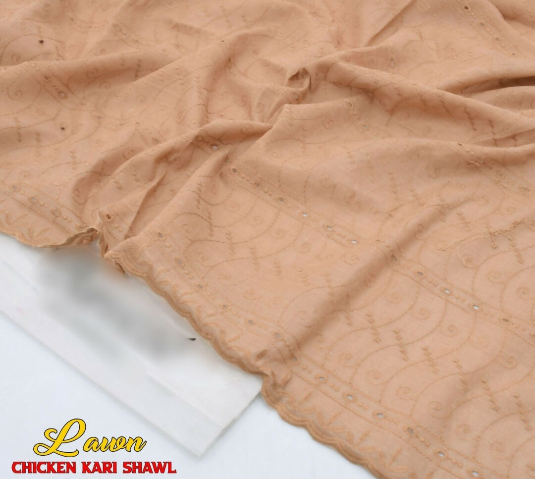 Chikankari & Embroidered Lawn Summer Shawl | Women Accessories | Duppatas & Shawls | Brand New