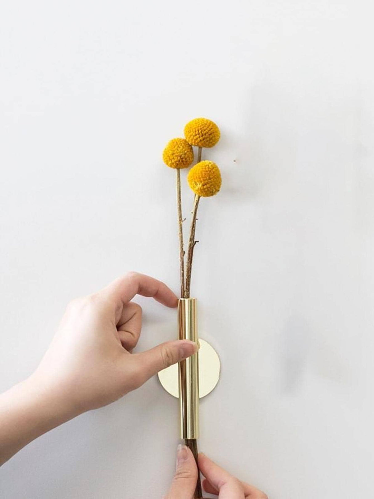 Buy SHEIN Golden Wall-mounted Flower Vase (excluding Wall Glue) in Pakistan