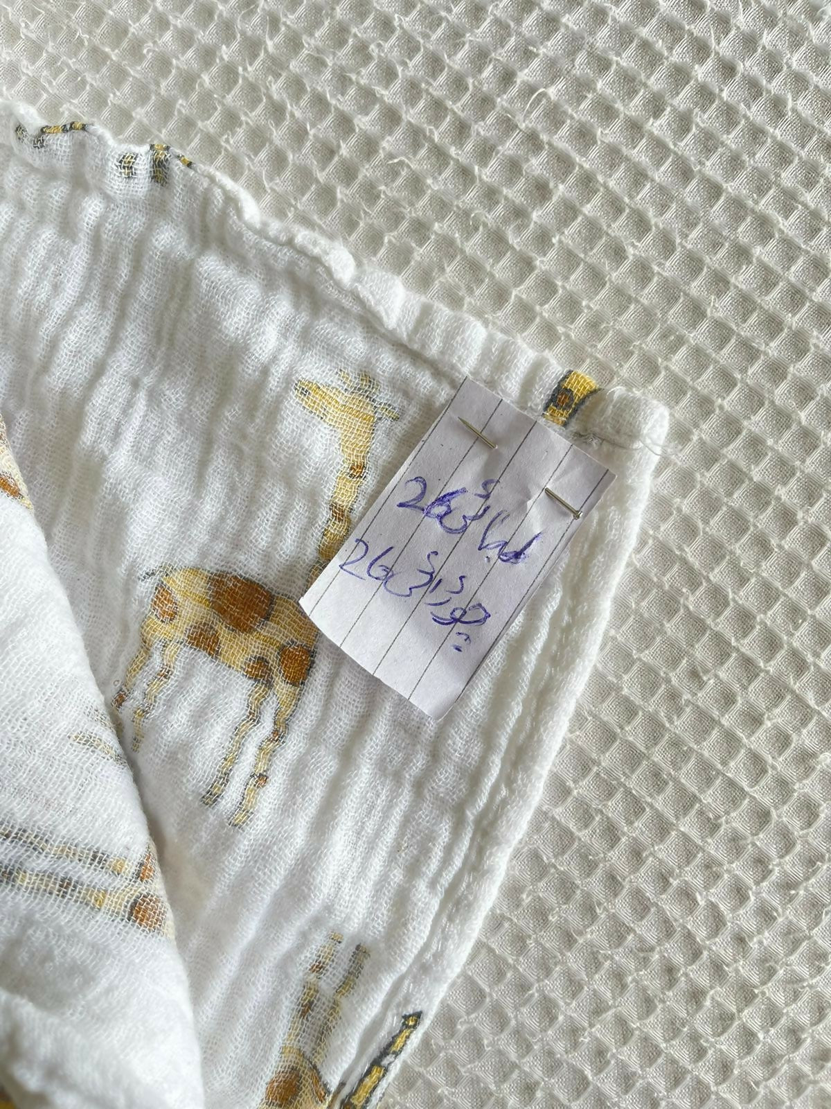 WhatsApp Image 2025-08-24 at 21.50.24_914b8064