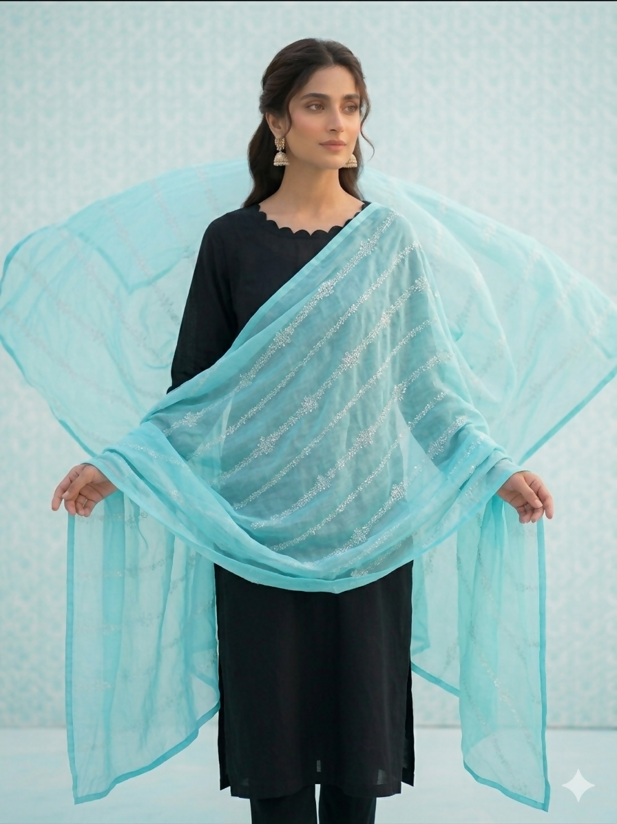 Bareeza Chickenkari Chadar | Women Accessories | Large | New