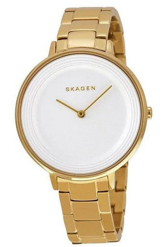 Buy Skagen Ladies Watch- SKW2330 in Pakistan
