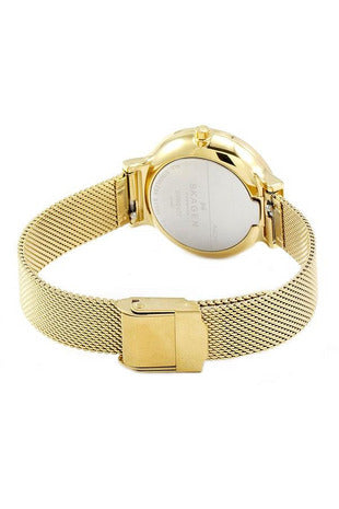 Buy Skagen Ladies Watch- SKW2477 in Pakistan