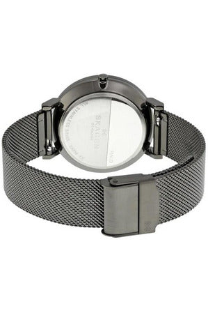 Buy Skagen Ladies Watch- SKW2507 in Pakistan