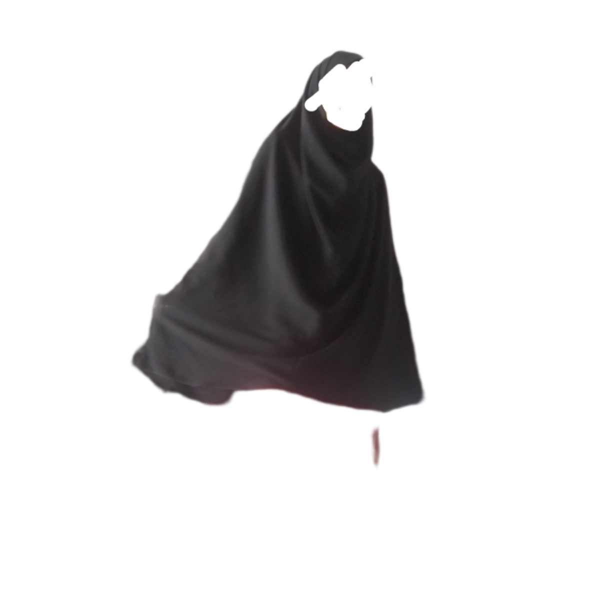 InShot_20240823_113442229