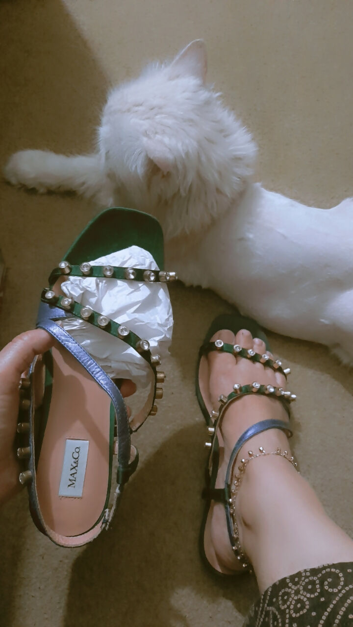 inbound4837461441125386835