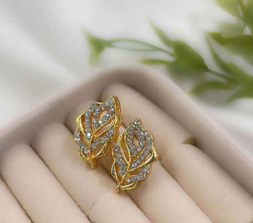 Pack of 2 pairs of earrings (050-236) | Women Jewelry | Earrings | Brand New