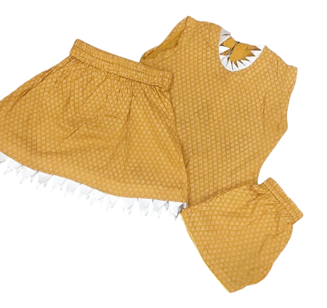 IMG_20241123_044942 (1)