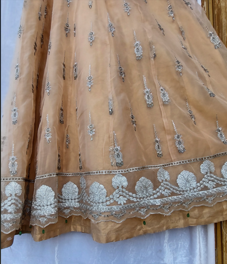 Champange Silver Embroidered Maxi | Women Frocks & Maxis | Medium | Worn Once