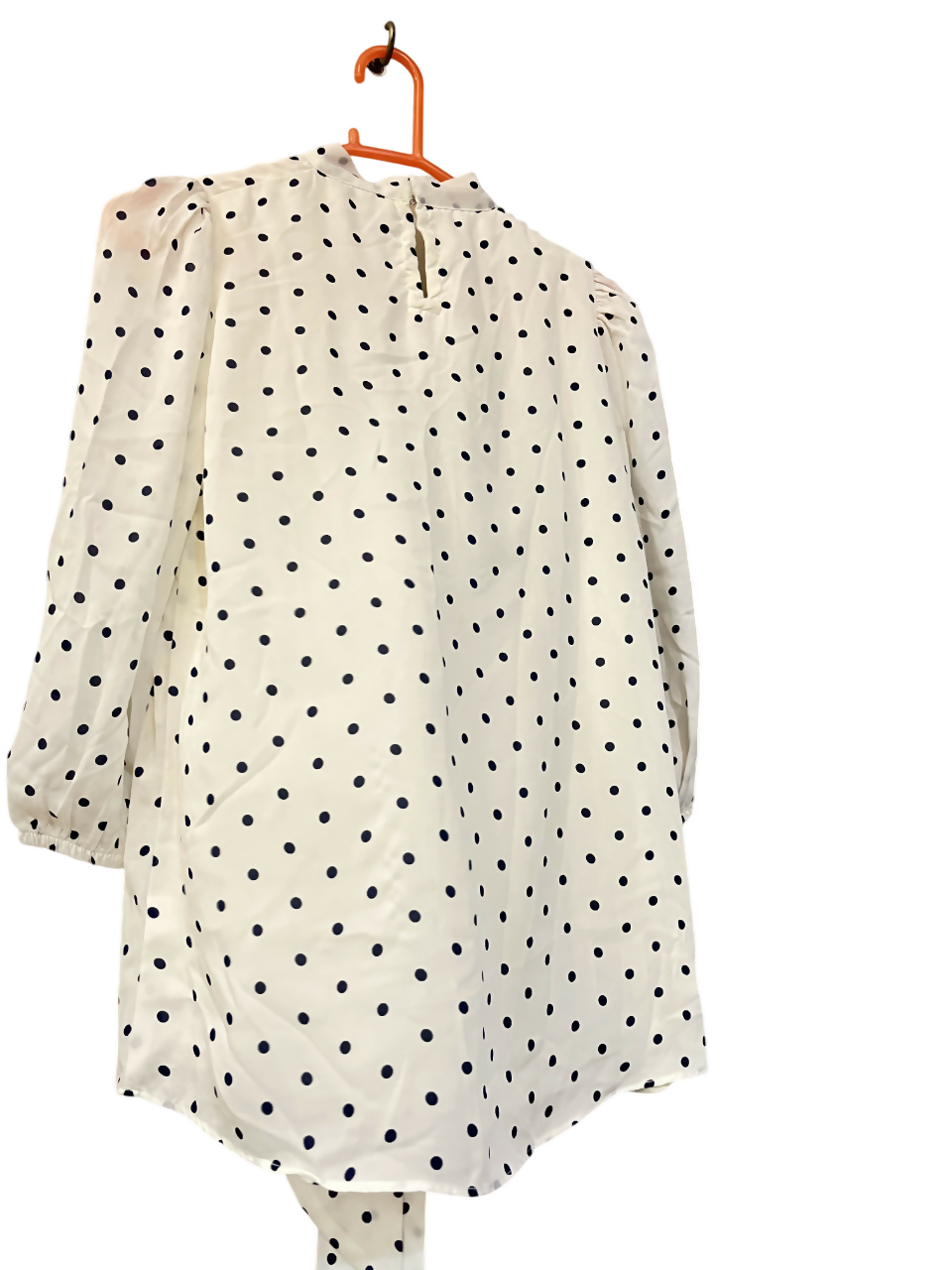 B0ujTsPOV6-Photoroom