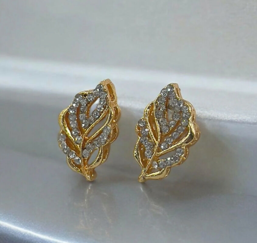 Pack of 2 pairs of earrings (050-236) | Women Jewelry | Earrings | Brand New