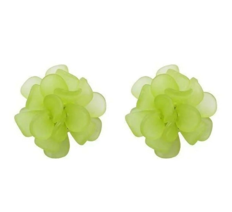 Pack of 7 pairs of earrings & flower stud (752-909) | Women Jewelry | Earrings | New