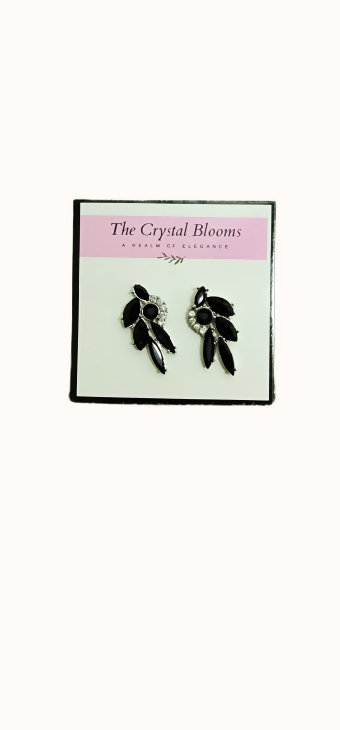 2 pair of Black Earrings (Size: M ) | Women Jewelry | New