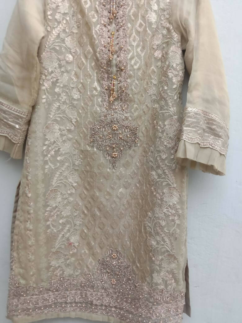 Sadabahar | Organza Embroidered Formal Suit| Women Branded Formals | Large | Worn Once