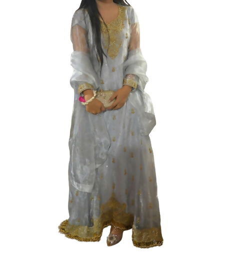 Elegant Tissue Maxi | Women Frocks & Maxis | Medium | Worn Once