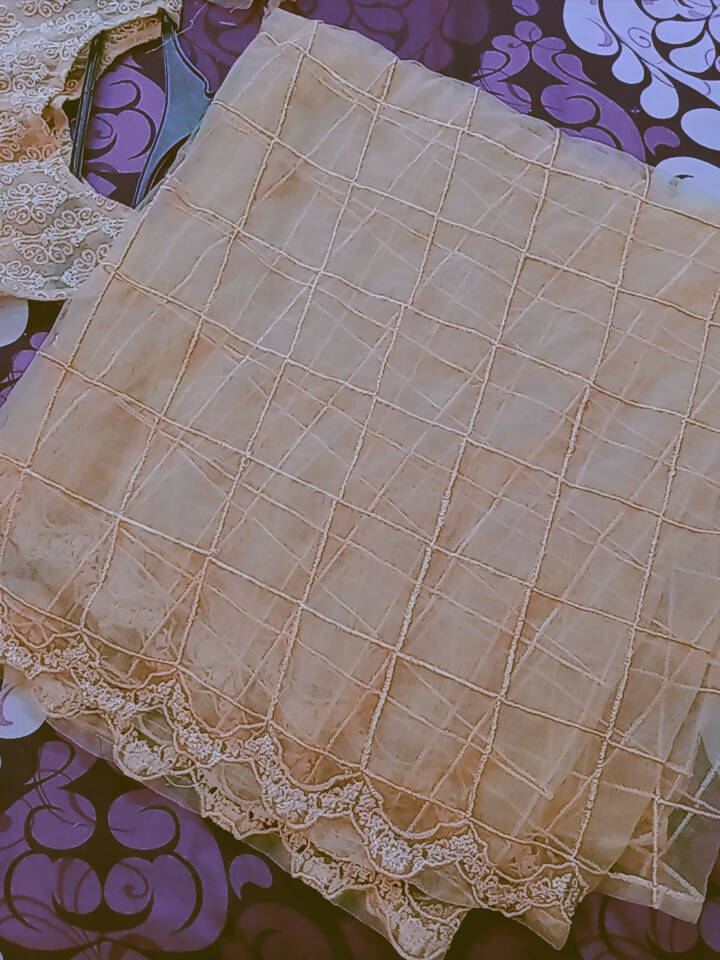 Panache by Mona Embroidery | Women Frocks & Maxis | Medium | Worn Once