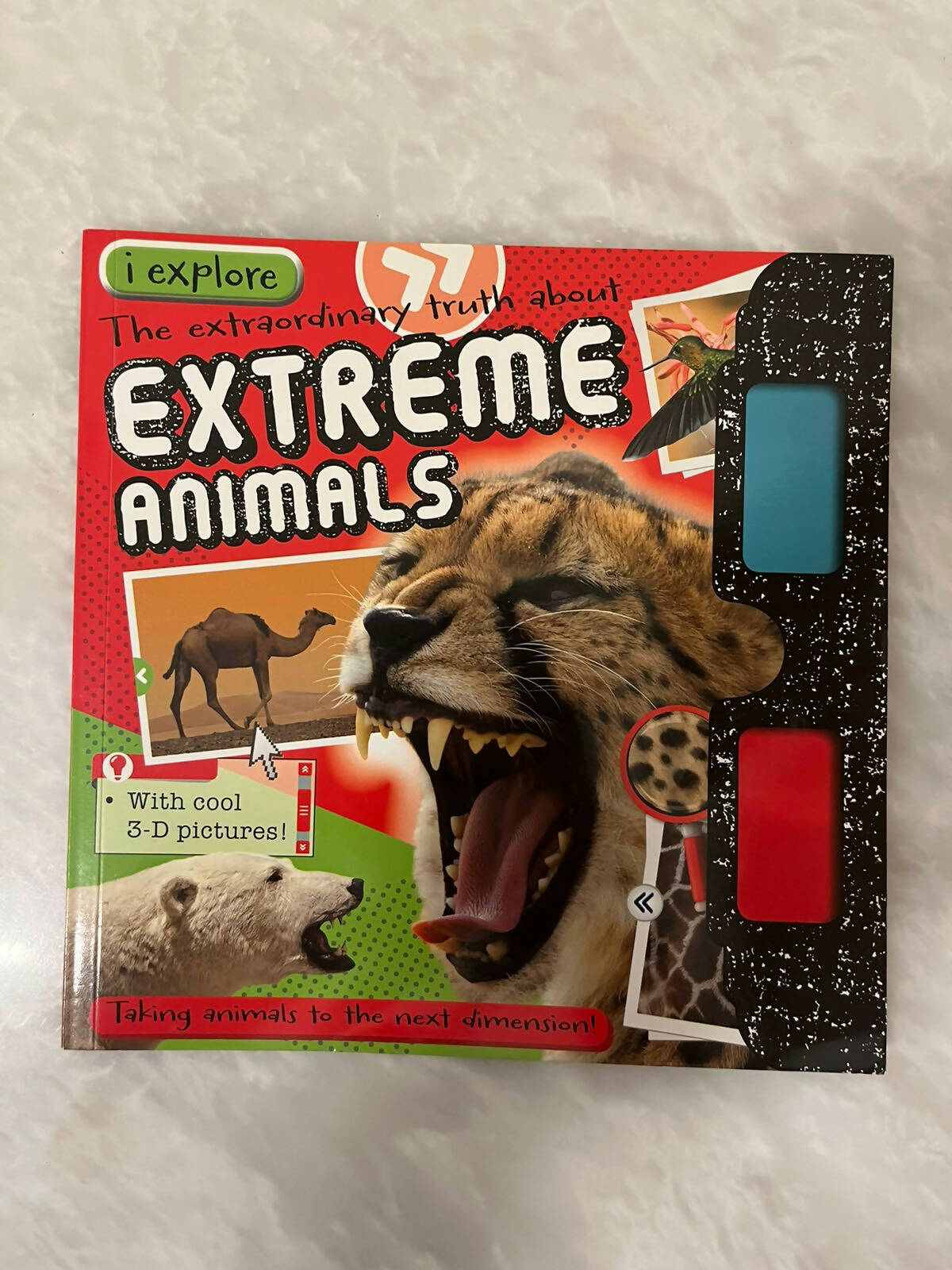 Extreme Animals Book | Books | Brand New