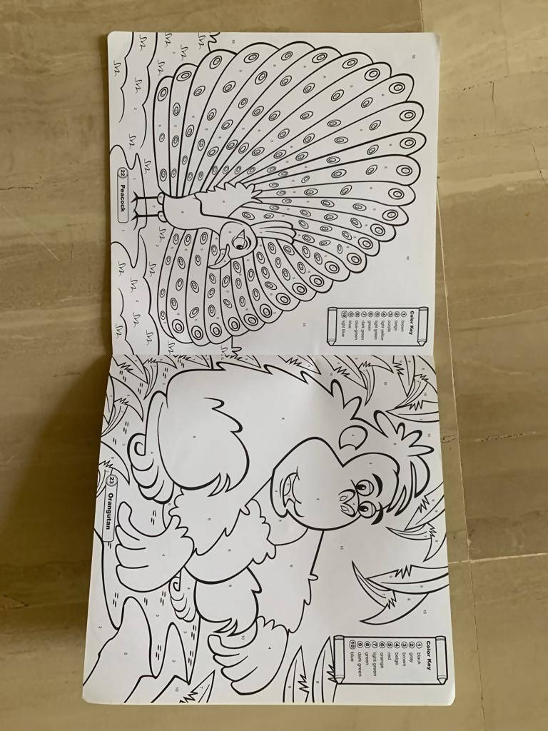 At The Zoo Coloring Book | Books | Brand New