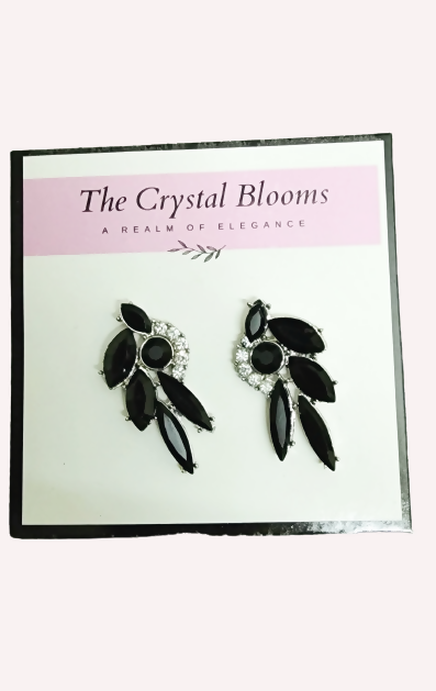 2 pair of Black Earrings (Size: M ) | Women Jewelry | New