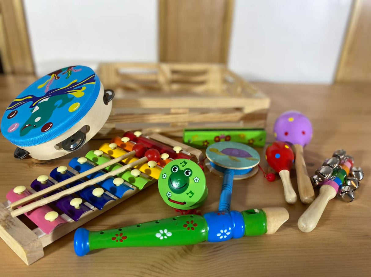 Music Insturments Box | Kids Toys & Baby Gear | Brand New