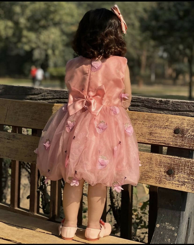 گلابی کڑھائی والا نیٹ لباس (سائز: XS ) | لڑکیوں کے اسکرٹ اور کپڑے | نئی