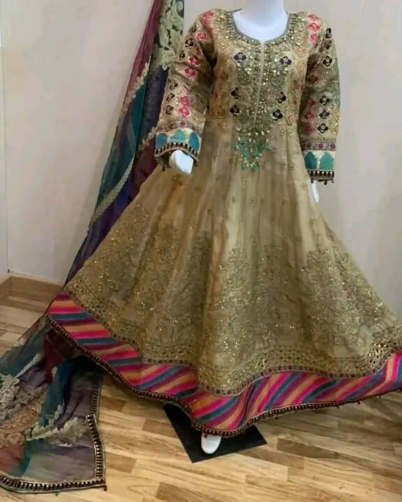 Embroidered Long Maxi | Women Frocks & Maxis | Medium | Worn Once