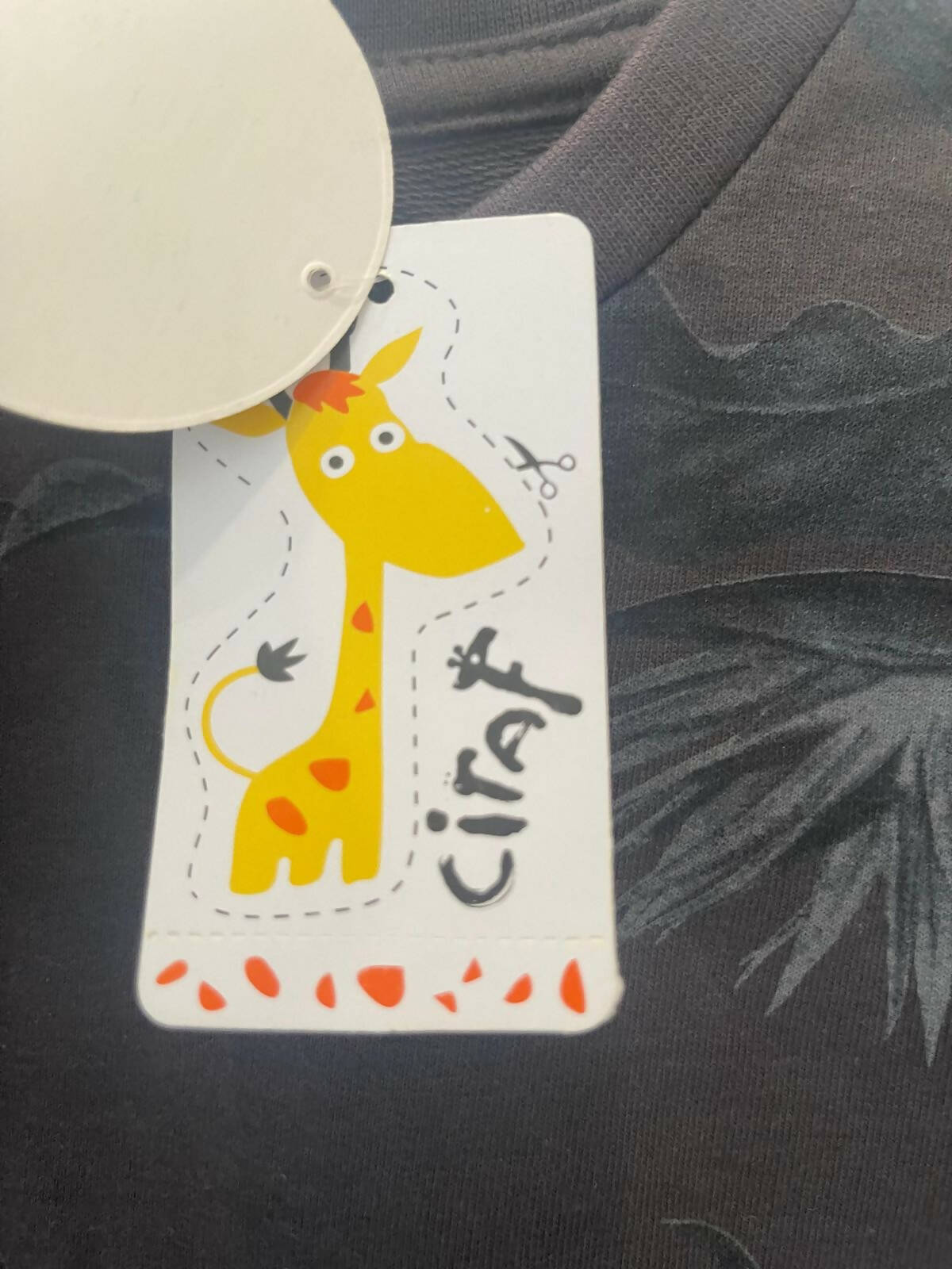 Cirat | Printed Shirt | Boys Tops & Shirts | Size: 2-3 years | Brand New with Tags