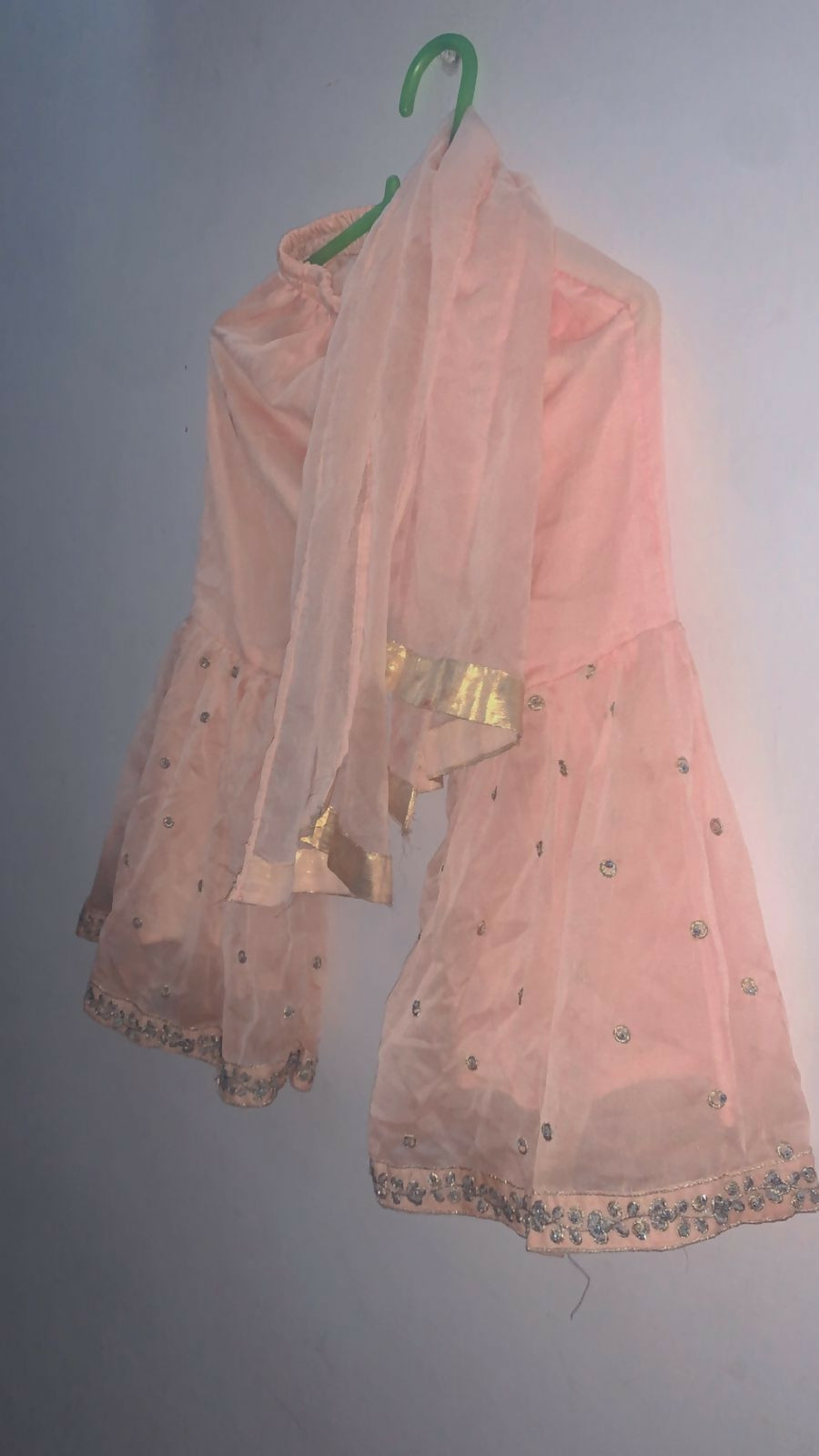 Pink Embroidered Gharara | Girls Skirts & Dresses | Medium | Preloved