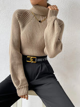 Buy Shein Turtleneck Raglan Sleeve Ribbed Knit Sweater in Pakistan