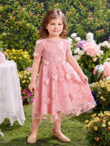 Buy SHEIN Toddler Girls Appliques Embroidery Mesh Overlay Butterfly Sleeve Dress in Pakistan