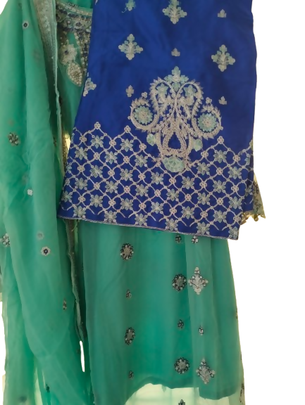 IMG20241118155329-removebg-preview