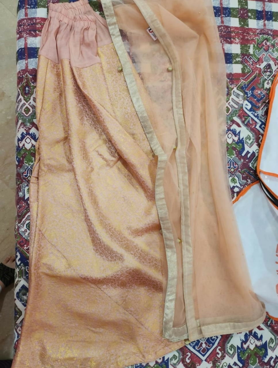 Beautiful Sharara | Women Locally Made Formals | Peach | Small | Preloved