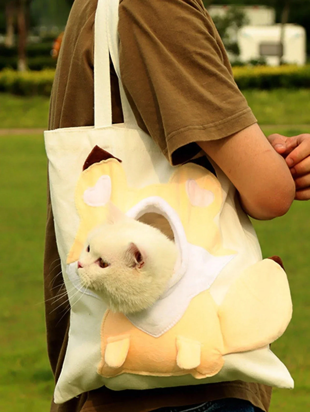 Buy SHEIN 1pc Cute Animal Shaped Cat Head Out Single Shoulder Bag For Pets Within 5kg in Pakistan