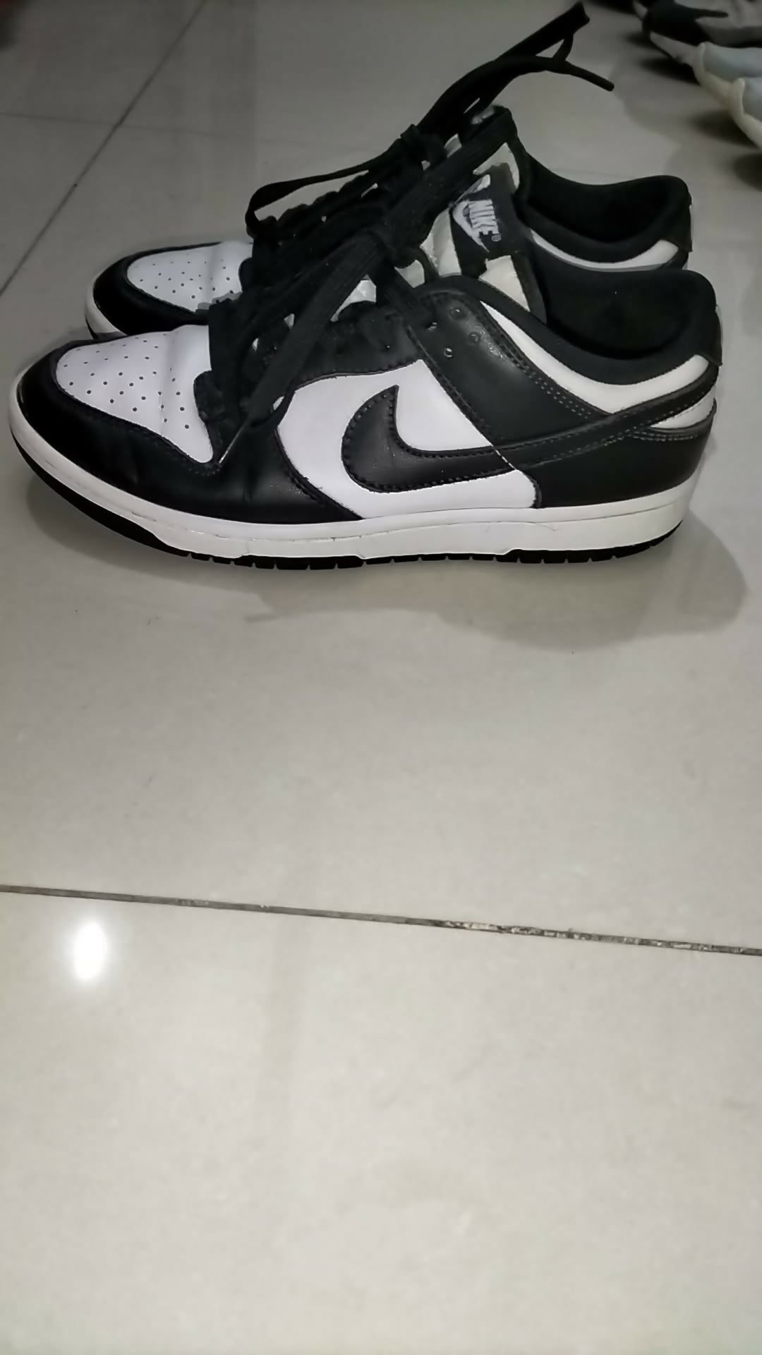 Nike Low Dunk Panda Edition | Men Shoes | Size : UK 6.5 | Preloved