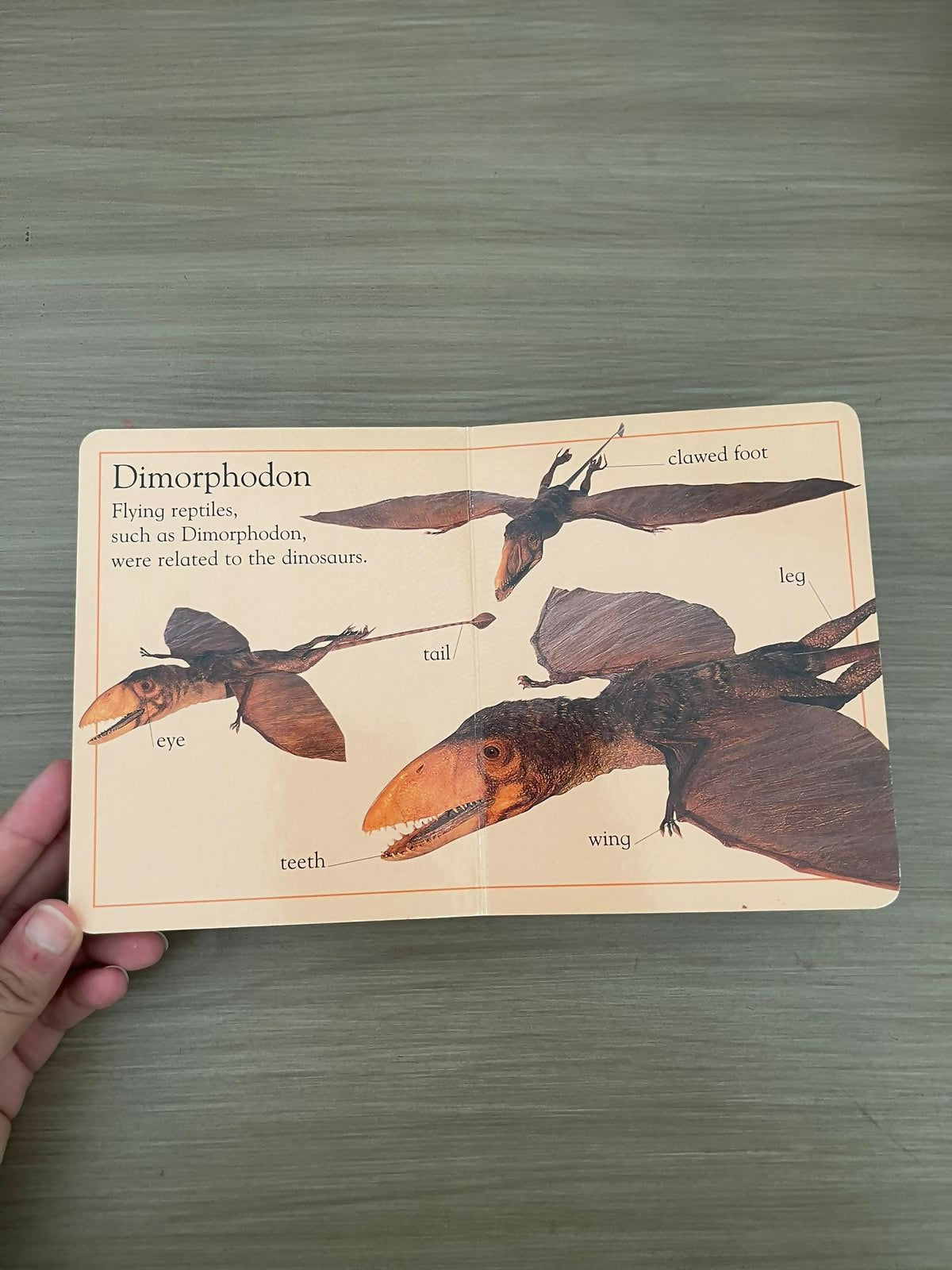 WhatsApp Image 2025-08-12 at 01.24.36_e202eabe