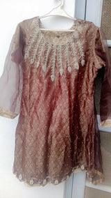 3PC Brown Embroidered Organza Dress | Women Locally Made Formals | Large | Worn Once