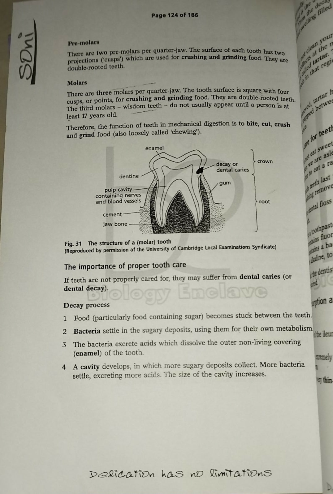 O Levels Biology | Academic/Schoolbooks | Books | New