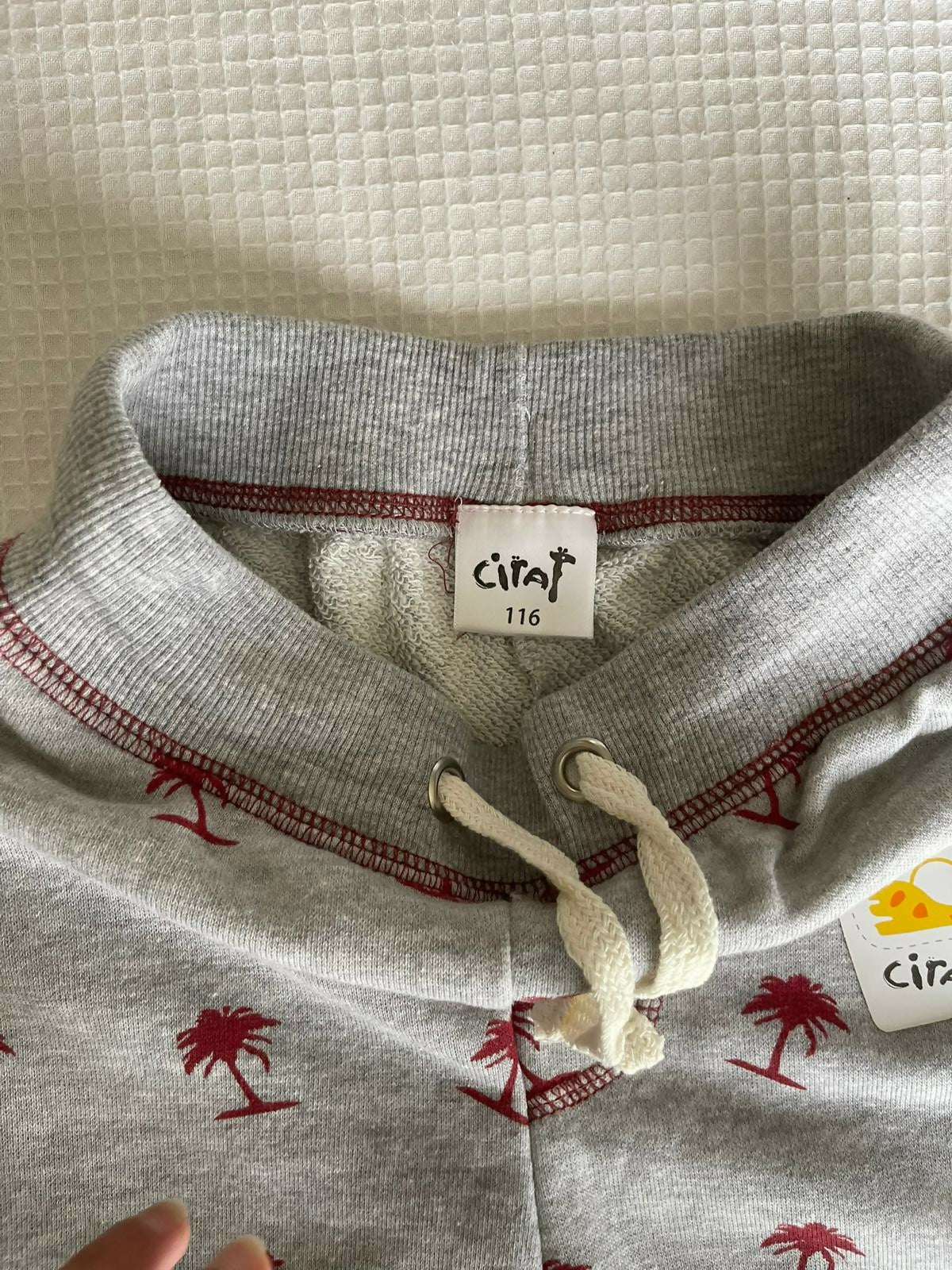 WhatsApp Image 2025-08-29 at 18.10.21_741dfa01