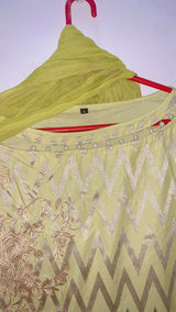Light Green Embroided 2Pcs | Women Locally Made Kurta | Large | Preloved