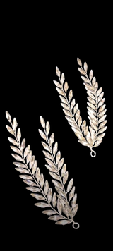 Photoroom-20241122_201041