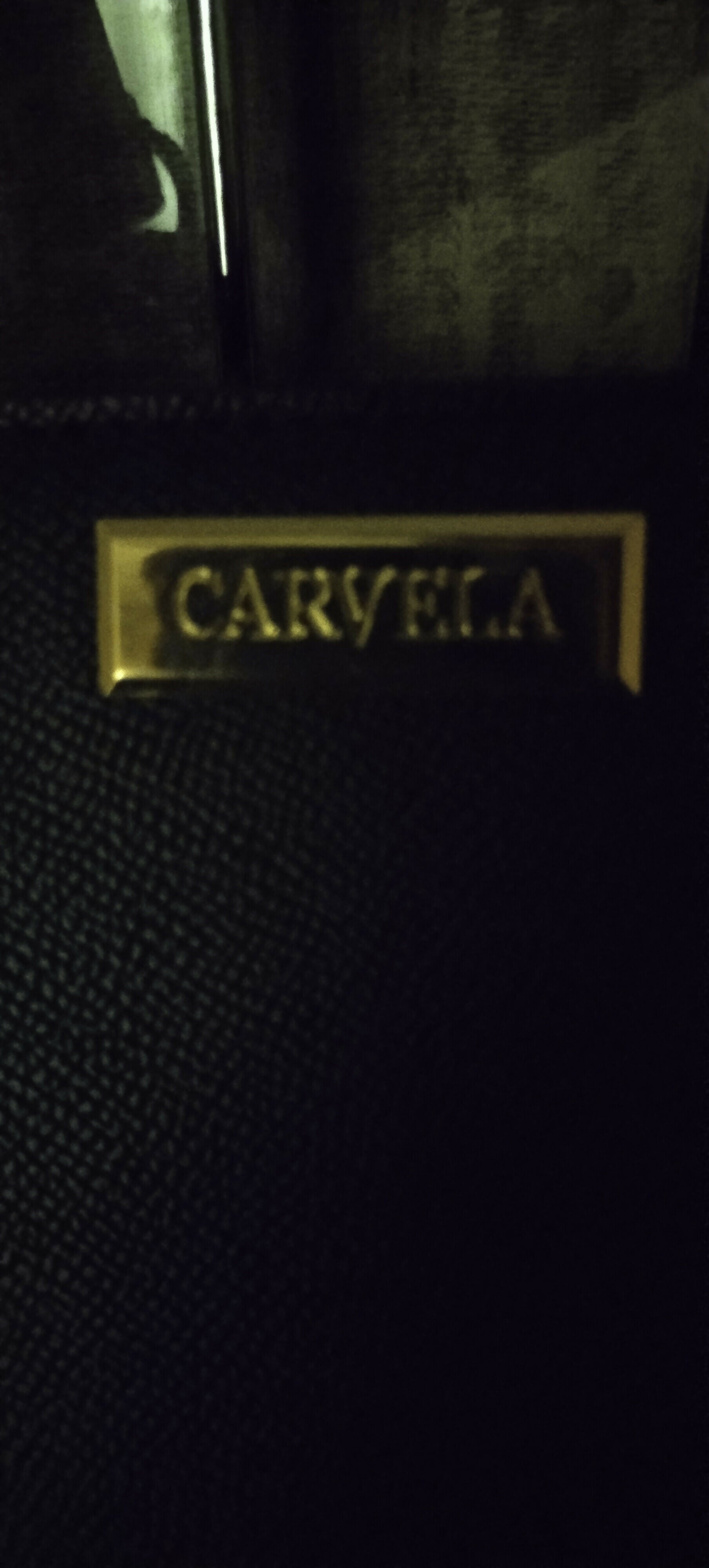 Carvela | Women Bags | Large | New