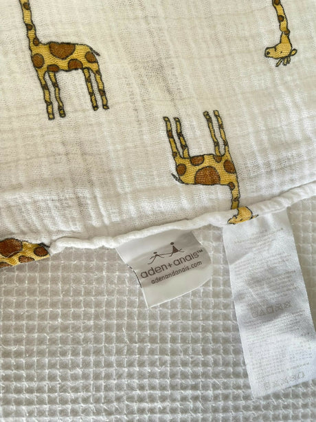 WhatsApp Image 2025-08-24 at 21.50.24_56184cd5