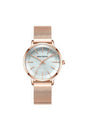 Buy Mini Focus Ladies Watch- MF0257L-5 in Pakistan