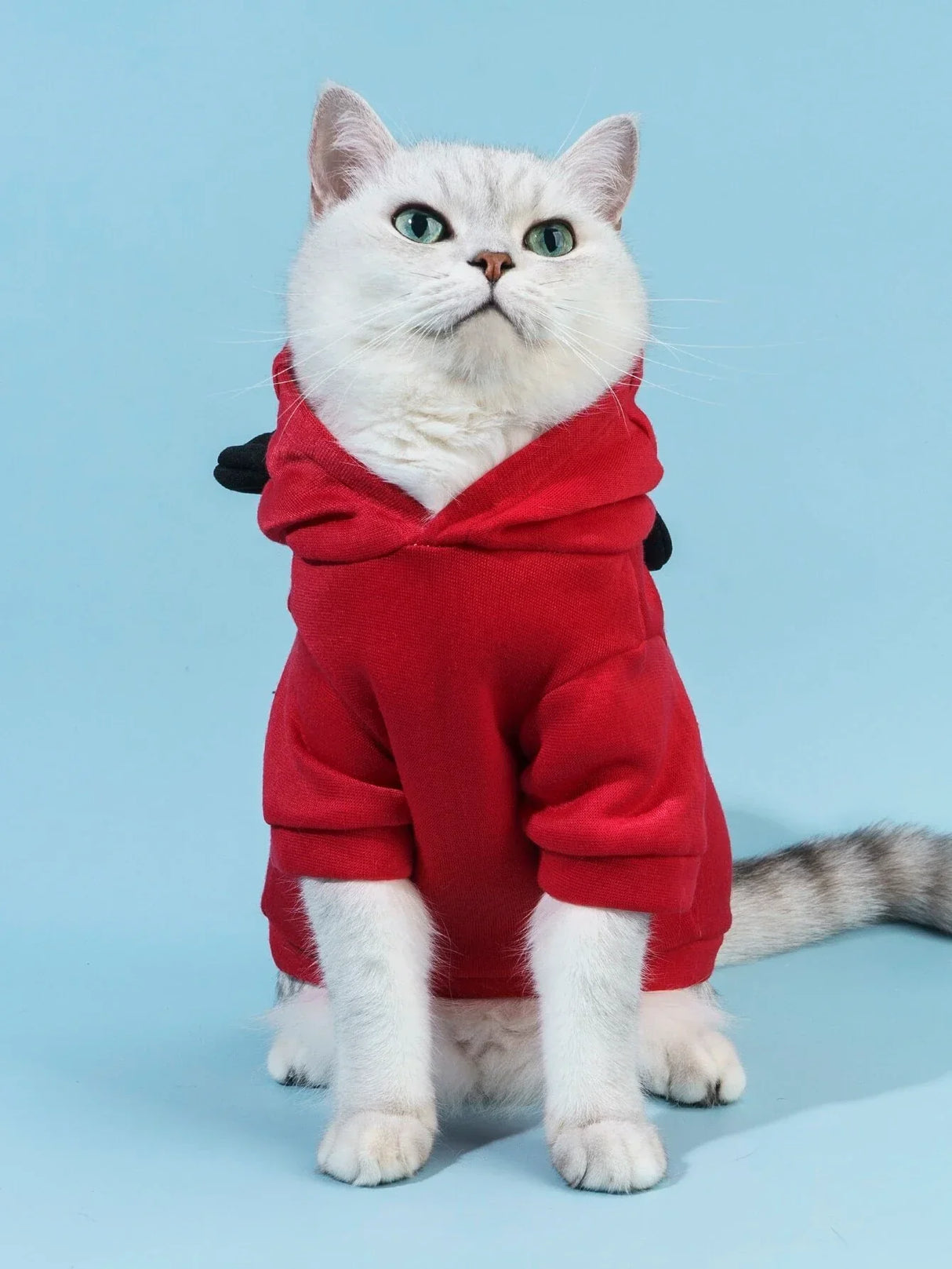 Buy SHEIN PETSIN Bear Ear Design Pet Hoodie in Pakistan