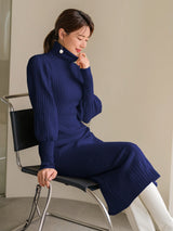 Buy SHEIN Modely Turtle Neck Gigot Sleeve Belted Sweater Dress in Pakistan